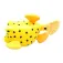 Collecta Koffertfiskbamse
