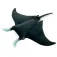 Collecta Pluszowa manta