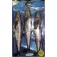 Williamson Live Dredge Mackerel weicher köder 12g