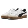 Puma Indoor trainers