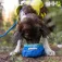 Ruffwear Trail Runner Leckerlibeutel