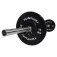 Tunturi Disc bumper 10kg