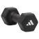 adidas 덤벨 1kg