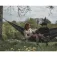 Easycamp Pine hangmat