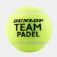 Dunlop Team Padelballbox