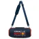 Red bull racing Force Bluetooth speaker