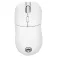 Gamiac Mouse gaming wireless PX71