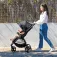 Asalvo Iconic stroller
