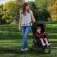 Asalvo Milan stroller