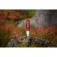 Morakniv Eldris 刀