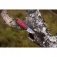 Morakniv Eldris 刀