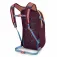 Osprey Daylite 13L backpack