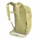 Osprey Daylite Plus 20L backpack