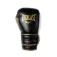 Everlast Powerlock 2r training gloves