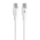 Targus USB-C线 1.5 m 60W