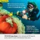 Sealife Micro 3.0 Pro 3000F Color Boost camera