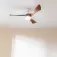 Cecotec EnergySilence Aero 5280 Deckenventilator