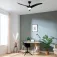 Cecotec EnergySilence Aero 5295 천장 선풍기