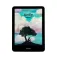 Amazon Kindle Colorsoft Signature Edition E-Book