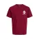 Jack & Jones Rollo Standard Fit short sleeve T-shirt