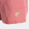 Joma Explorer V shorts