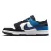 Nike Sneaker Dunk Low Retro