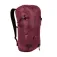 Blue ice Dragonfly 18L 背包
