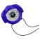 Plastimo Iris 50 Zone C kompas