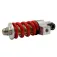 krF Sce r250 Suspension