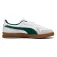 Puma Indoor trainers
