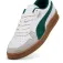 Puma Indoor trainers