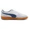 Puma Palermo trainers