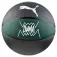 Puma TeamJAWS basketball