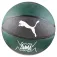 Puma TeamJAWS 篮球