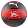 Puma TeamJAWS 篮球