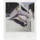 Polaroid Now+ Gen 3 Bundle Instantcamera