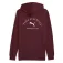 Puma Class Graphic kapuzenpullover