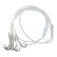 Sele Mullets tied hook