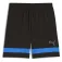 Puma Attacanto shortsit