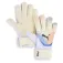 Puma Future Match NC goalkeeper gloves
