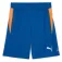 Puma Individual Training shortsit