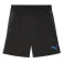 Puma Short IndividualCUP