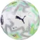 Puma Orbita Cup PL Thrill Fußball