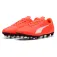Puma Vitoria II FG/AG football boots