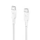 Belkin Cable USB-C 2.0 2 m