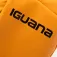 Iguana Necesser Matri