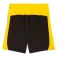 Puma Шорты BVB Borussia Dortmund Replica