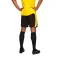 Puma Шорты BVB Borussia Dortmund Replica