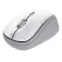 Trust Mouse wireless 25454