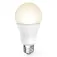 Hama E27 smart lampa
